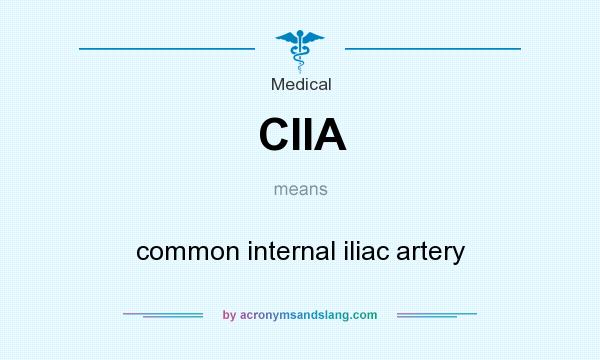 What does CIIA mean? It stands for common internal iliac artery