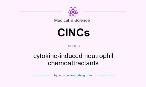 What does CINCs mean? It stands for cytokine-induced neutrophil chemoattractants