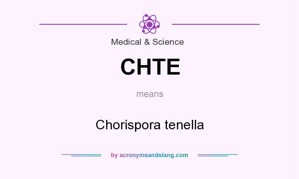 What does CHTE mean? It stands for Chorispora tenella