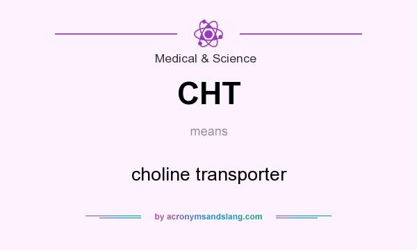 What does CHT mean? It stands for choline transporter