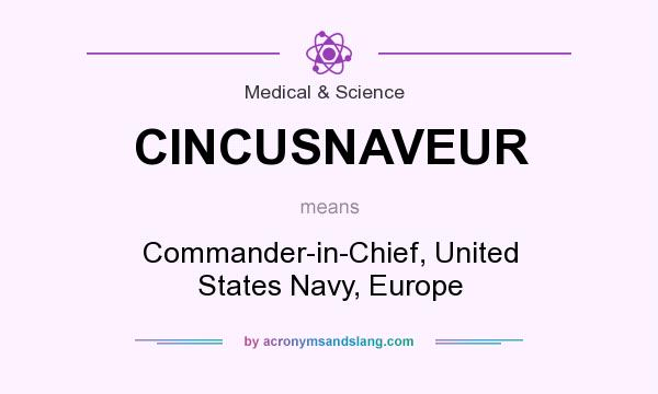 What does CINCUSNAVEUR mean? It stands for Commander-in-Chief, United States Navy, Europe