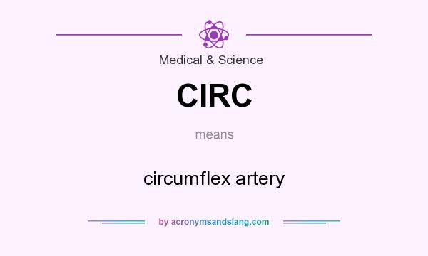 What does CIRC mean? It stands for circumflex artery