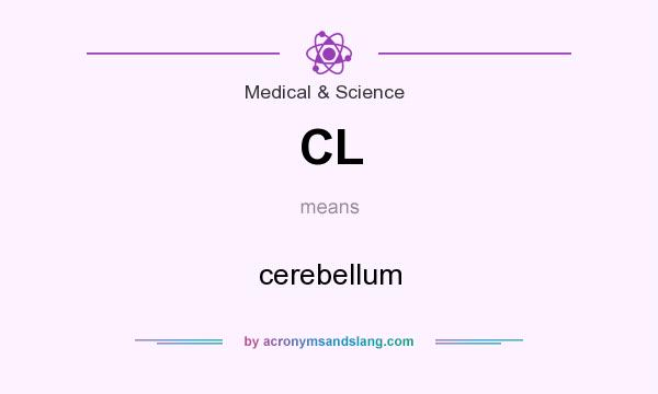 What does CL mean? It stands for cerebellum