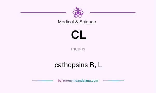 What does CL mean? It stands for cathepsins B, L