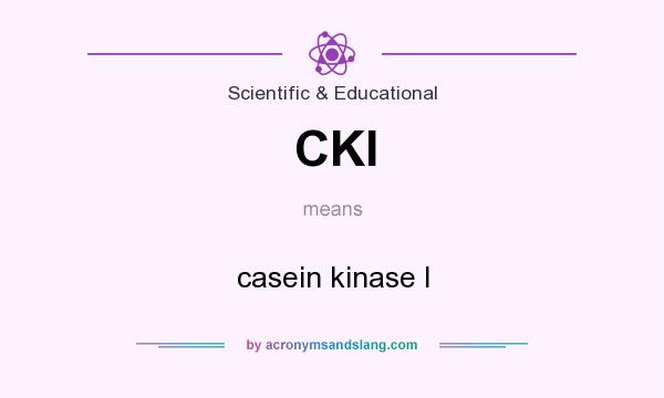 What does CKI mean? It stands for casein kinase I