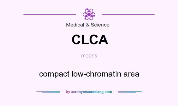 What does CLCA mean? It stands for compact low-chromatin area