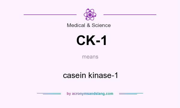 What does CK-1 mean? It stands for casein kinase-1