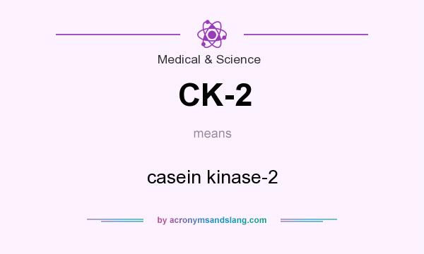 What does CK-2 mean? It stands for casein kinase-2