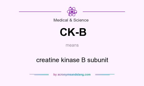 What does CK-B mean? It stands for creatine kinase B subunit