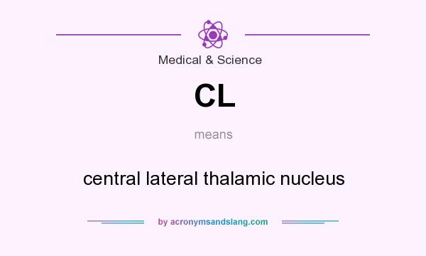 What does CL mean? It stands for central lateral thalamic nucleus