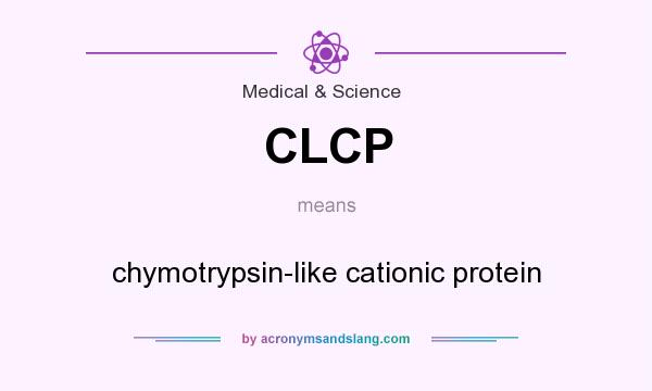 What does CLCP mean? It stands for chymotrypsin-like cationic protein