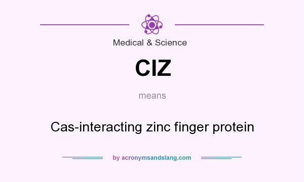 What does CIZ mean? It stands for Cas-interacting zinc finger protein