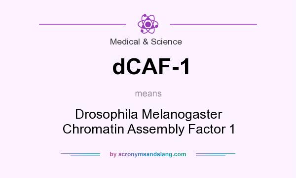 What does dCAF-1 mean? It stands for Drosophila Melanogaster Chromatin Assembly Factor 1