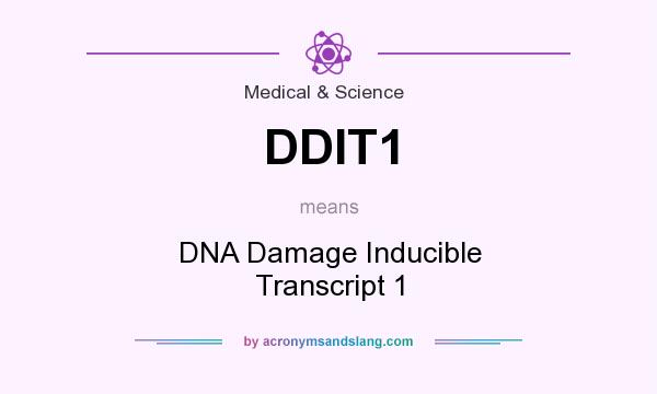 What does DDIT1 mean? It stands for DNA Damage Inducible Transcript 1