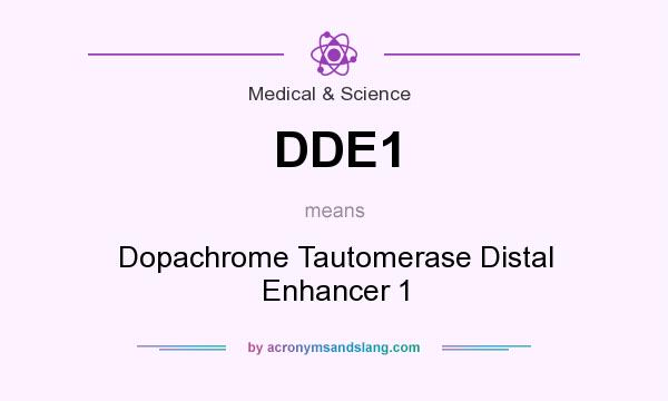 What does DDE1 mean? It stands for Dopachrome Tautomerase Distal Enhancer 1
