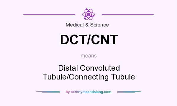 What does DCT/CNT mean? It stands for Distal Convoluted Tubule/Connecting Tubule