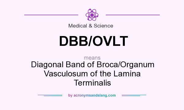 What does DBB/OVLT mean? It stands for Diagonal Band of Broca/Organum Vasculosum of the Lamina Terminalis