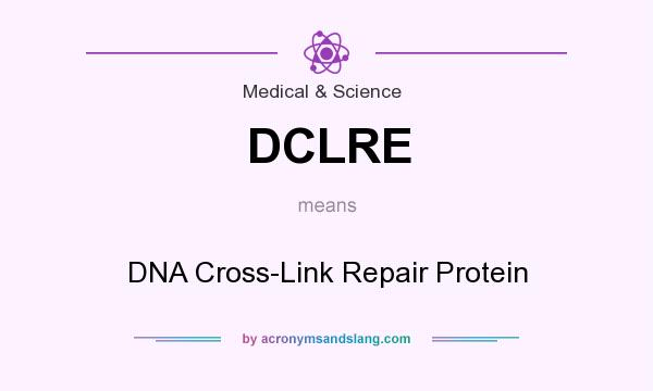 What does DCLRE mean? It stands for DNA Cross-Link Repair Protein