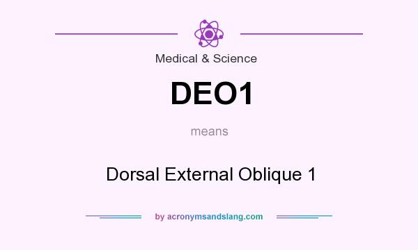 What does DEO1 mean? It stands for Dorsal External Oblique 1