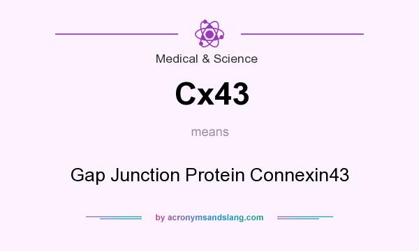 What does Cx43 mean? It stands for Gap Junction Protein Connexin43