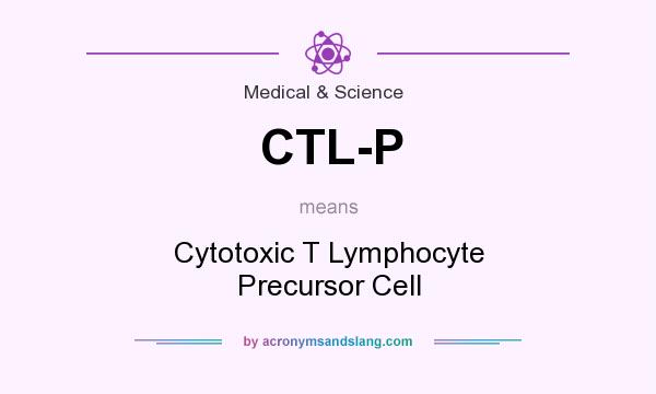 What does CTL-P mean? It stands for Cytotoxic T Lymphocyte Precursor Cell