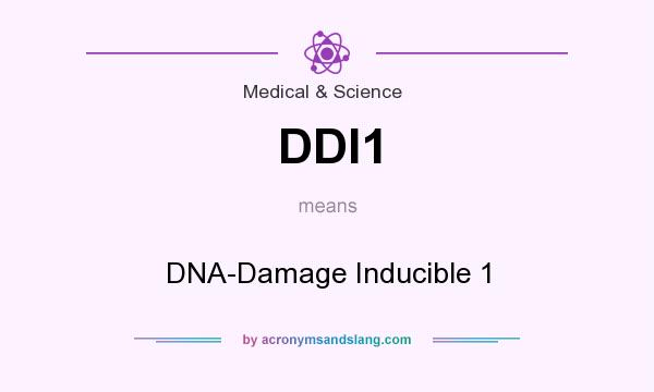 What does DDI1 mean? It stands for DNA-Damage Inducible 1