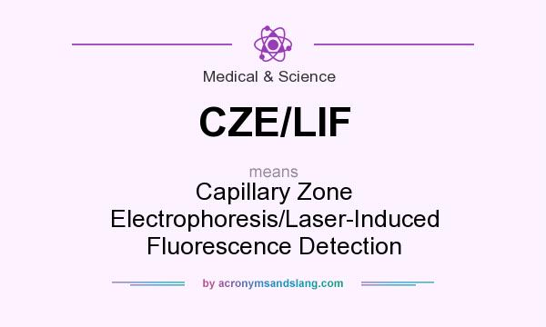 What does CZE/LIF mean? It stands for Capillary Zone Electrophoresis/Laser-Induced Fluorescence Detection
