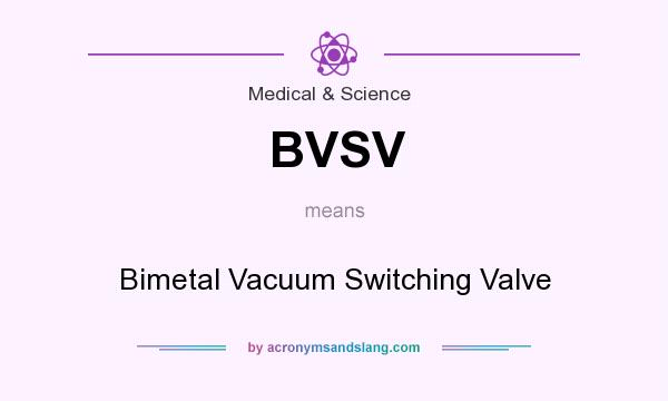 What does BVSV mean? It stands for Bimetal Vacuum Switching Valve