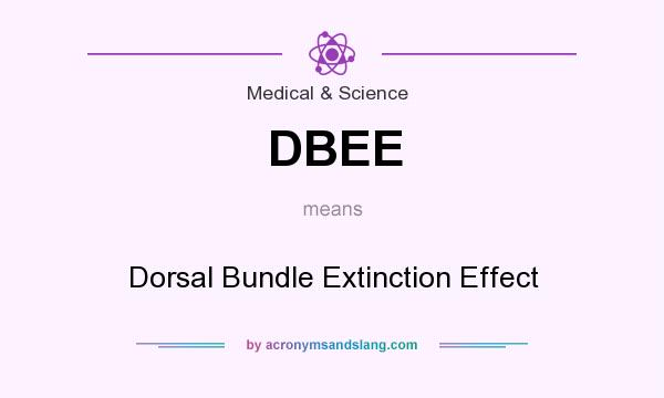 What does DBEE mean? It stands for Dorsal Bundle Extinction Effect