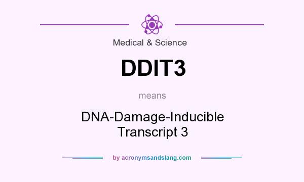 What does DDIT3 mean? It stands for DNA-Damage-Inducible Transcript 3