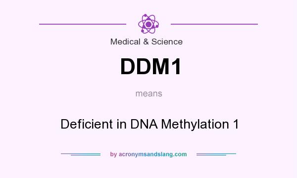 What does DDM1 mean? It stands for Deficient in DNA Methylation 1