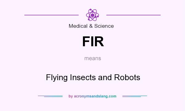 What does FIR mean? It stands for Flying Insects and Robots