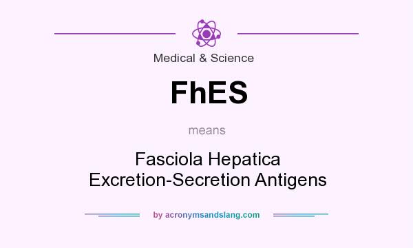 What does FhES mean? It stands for Fasciola Hepatica Excretion-Secretion Antigens