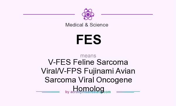 What does FES mean? It stands for V-FES Feline Sarcoma Viral/V-FPS Fujinami Avian Sarcoma Viral Oncogene Homolog