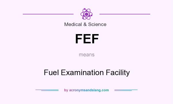 What does FEF mean? It stands for Fuel Examination Facility