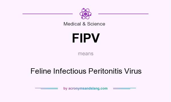 What does FIPV mean? It stands for Feline Infectious Peritonitis Virus