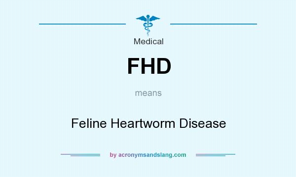 What does FHD mean? It stands for Feline Heartworm Disease