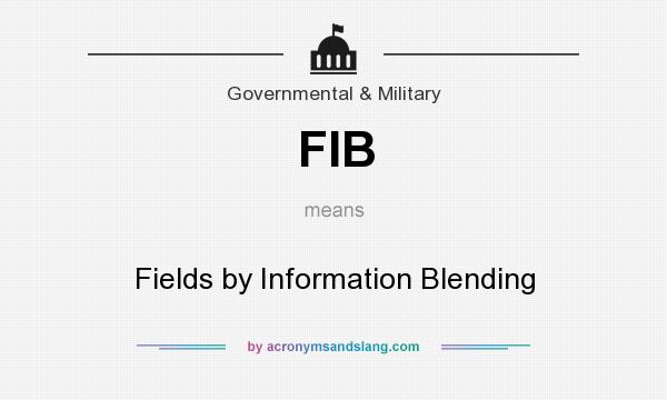 What does FIB mean? It stands for Fields by Information Blending
