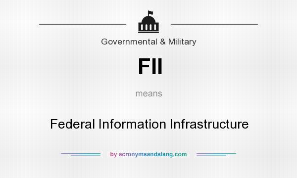 What does FII mean? It stands for Federal Information Infrastructure