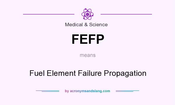 What does FEFP mean? It stands for Fuel Element Failure Propagation