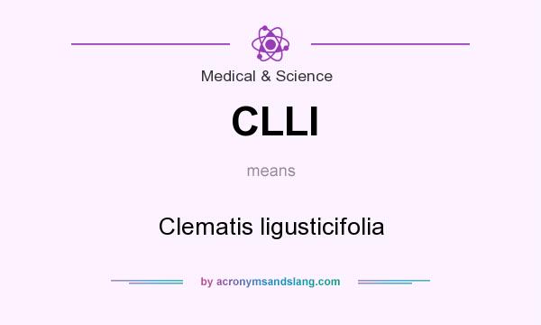 What does CLLI mean? It stands for Clematis ligusticifolia