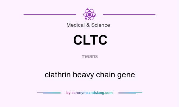 What does CLTC mean? It stands for clathrin heavy chain gene