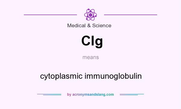 What does Clg mean? It stands for cytoplasmic immunoglobulin