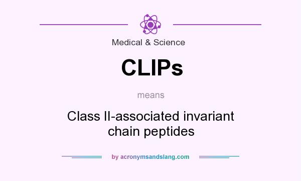What does CLIPs mean? It stands for Class II-associated invariant chain peptides