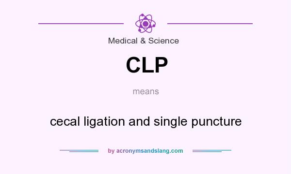 What does CLP mean? It stands for cecal ligation and single puncture