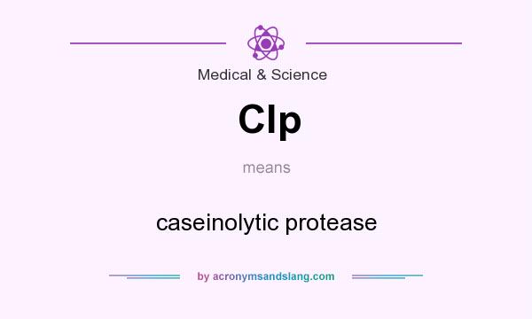 What does Clp mean? It stands for caseinolytic protease