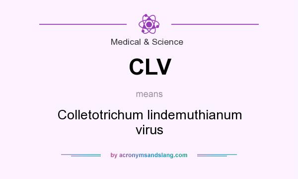 What does CLV mean? It stands for Colletotrichum lindemuthianum virus