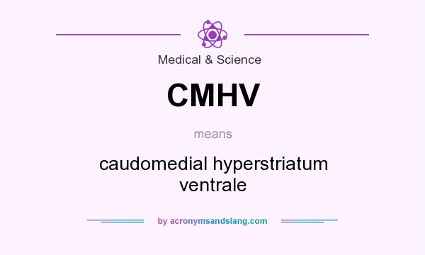 What does CMHV mean? It stands for caudomedial hyperstriatum ventrale
