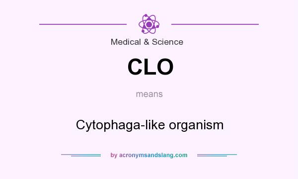 What does CLO mean? It stands for Cytophaga-like organism
