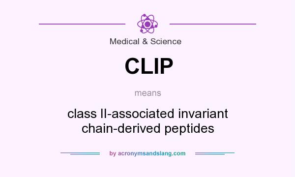 What does CLIP mean? It stands for class II-associated invariant chain-derived peptides